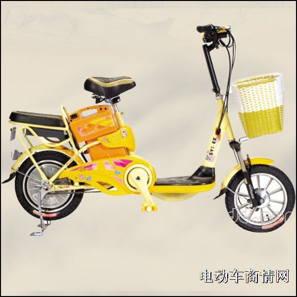 电动车电池