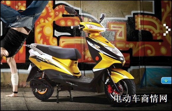 立马电动车价格表