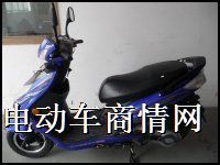 劲战