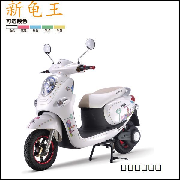 新龟王--可人电动车
