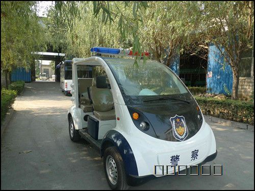 武汉立木科技 电动巡逻车