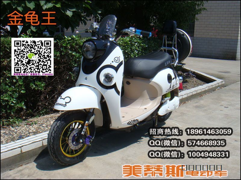 供应祖玛电动车