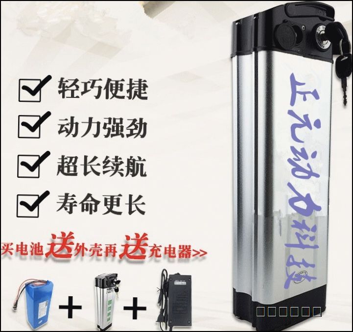 锂电池48v