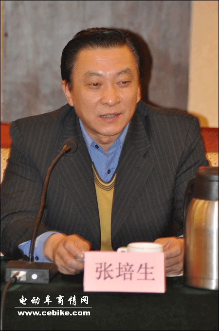 中国机电产品进出口商会专员张培生