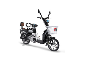 三田电动车 金丝鸟